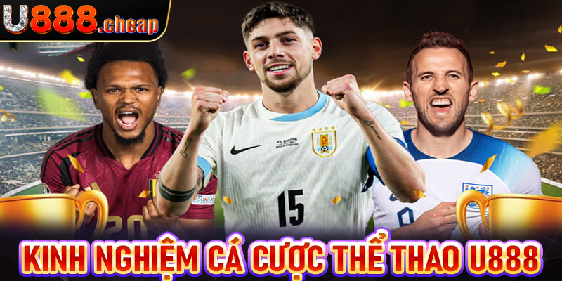 Kinh nghiệm cá cược thể thao U888 dành cho người chơi mới