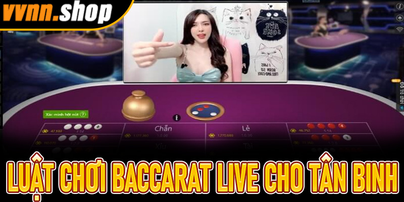 Thông tin luật chơi Baccarat Live cho tân binh